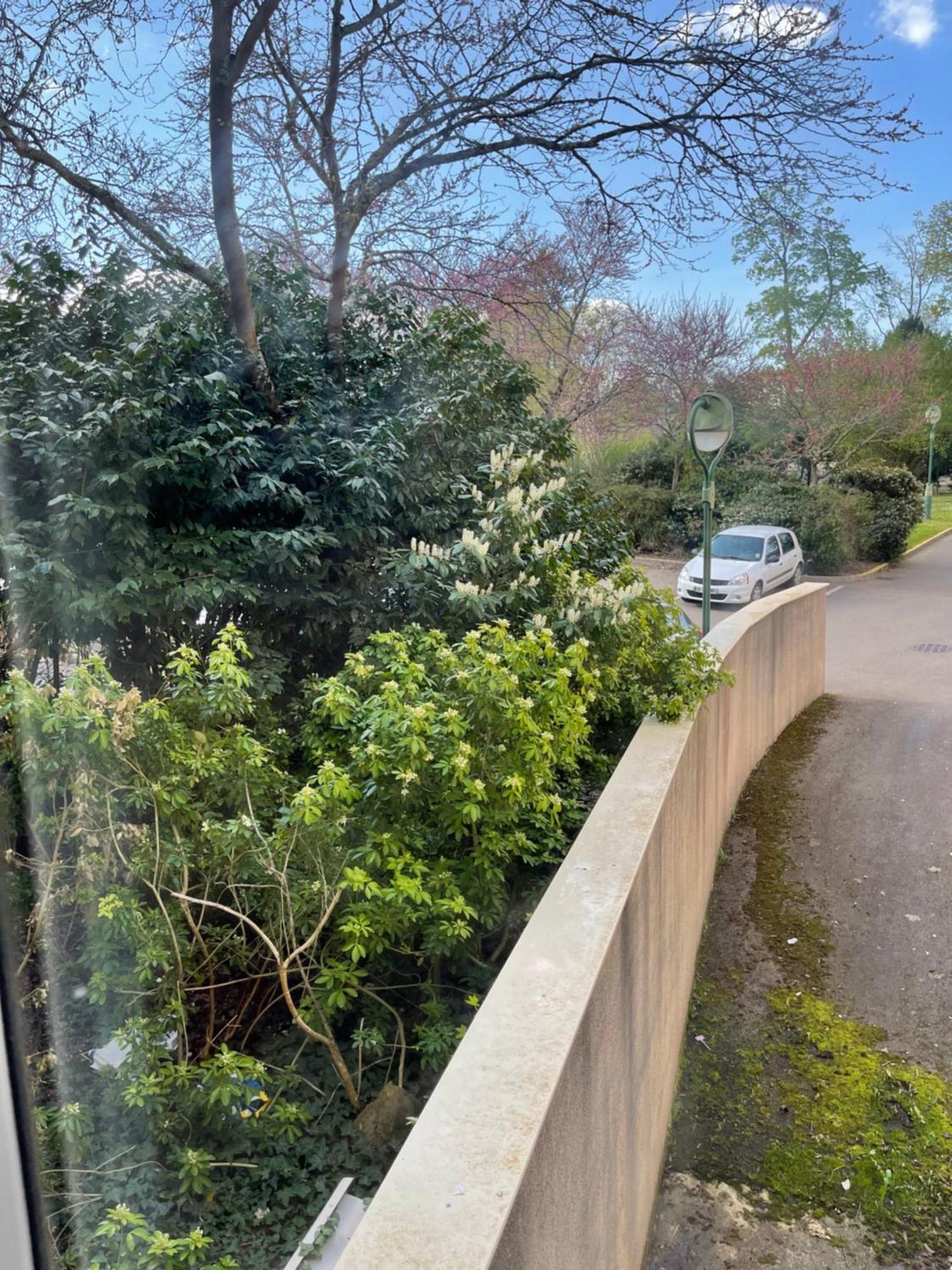 Les Logis De Paray Appartement N2 Exterior foto